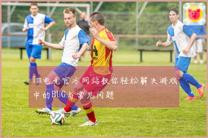 im电竞官方网站教你轻松解决游戏中的BUG与常见问题