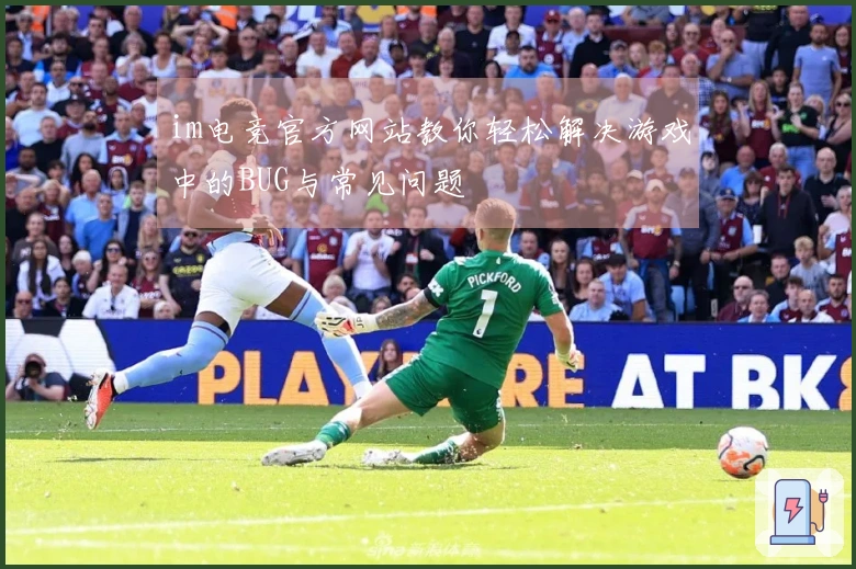 im电竞官方网站教你轻松解决游戏中的BUG与常见问题